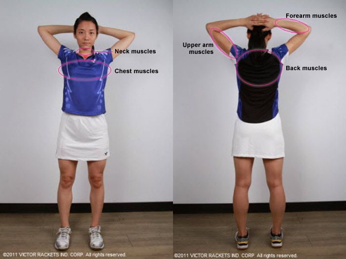 Badminton warm-up and warm-down(3):Upper body static stretching