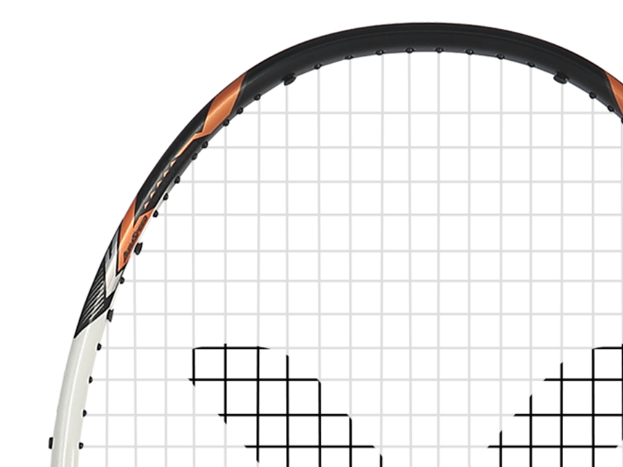 ARS-100X TD