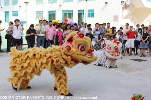 Lion dancers gave an impressive performance